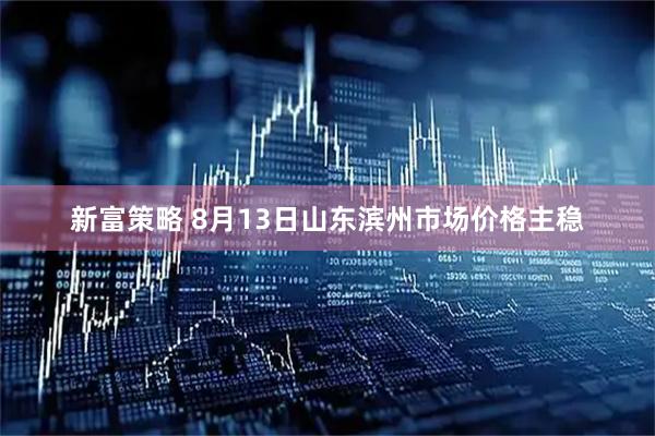 新富策略 8月13日山东滨州市场价格主稳