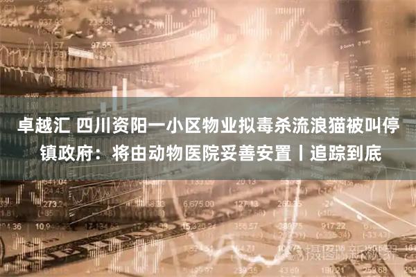 卓越汇 四川资阳一小区物业拟毒杀流浪猫被叫停 镇政府：将由动物医院妥善安置丨追踪到底