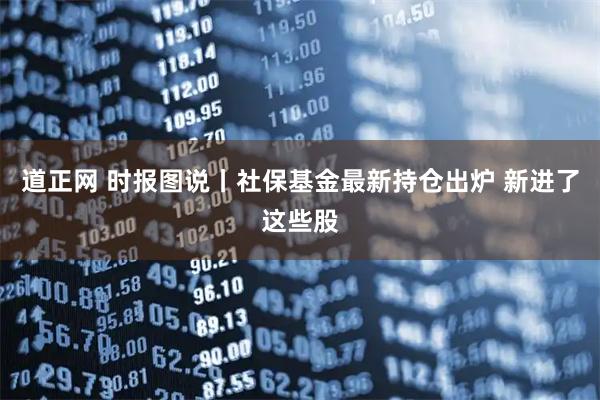 道正网 时报图说丨社保基金最新持仓出炉 新进了这些股