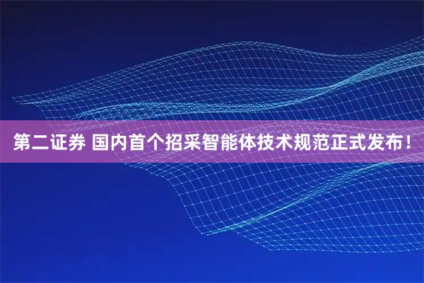 第二证券 国内首个招采智能体技术规范正式发布！
